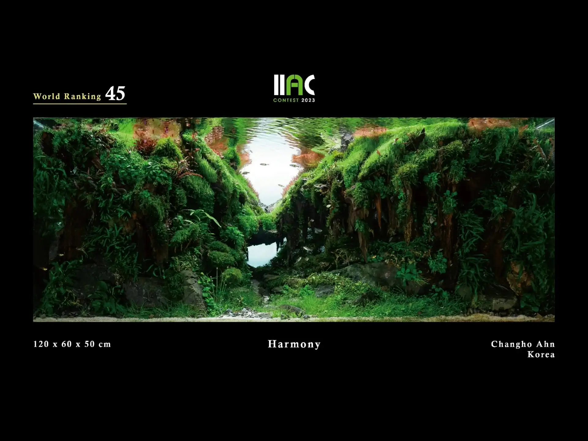 Harmony - IIAC 2023 #45 Changho Ahn / South Korea